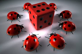Онлайн казино Casino BOOI
